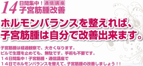 14日間集中！子宮筋腫改善・通信講座 続木和子 内容: 14日間集中！子宮筋腫改善・通信講座 続木和子 内容